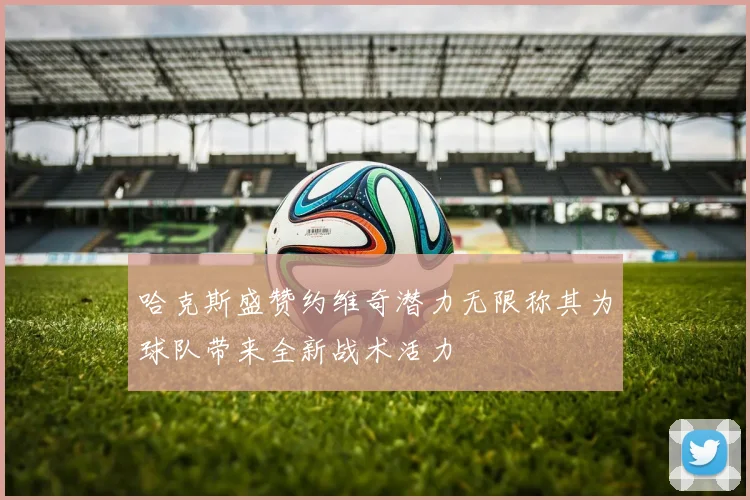 哈克斯盛赞约维奇潜力无限称其为球队带来全新战术活力