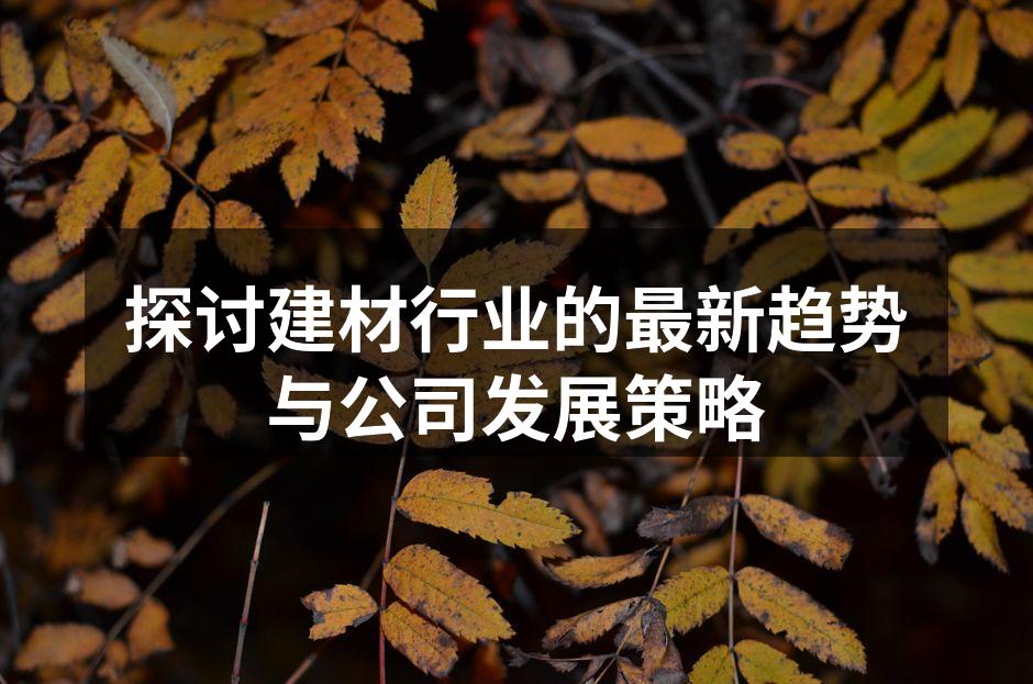 探讨建材行业的最新趋势与公司发展策略