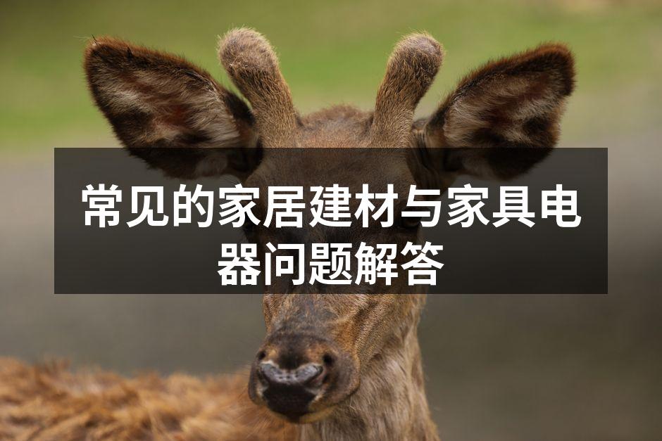 环保建材选购指南