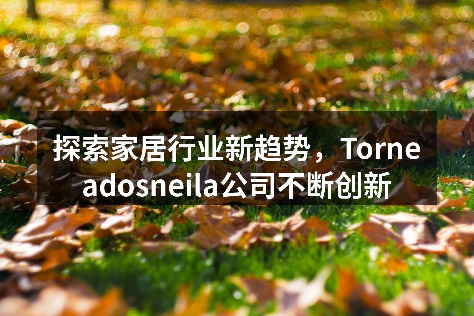 探索家居行业新趋势,Torneadosneila公司不断创新