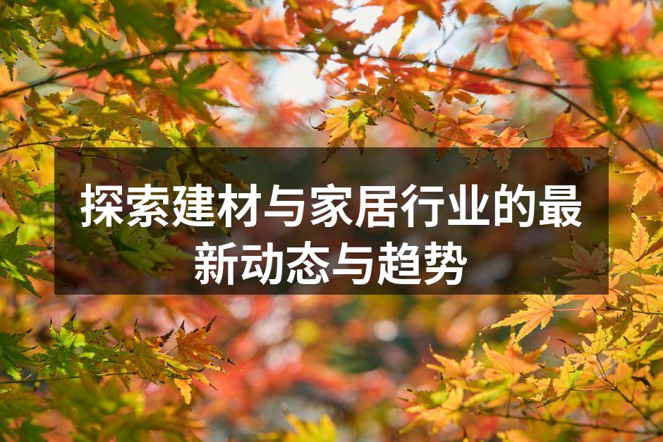 探索建材与家居行业的最新动态与趋势