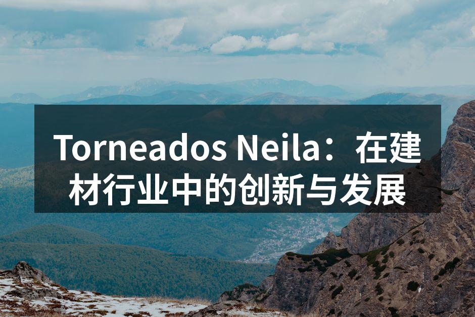 Torneados Neila：在建材行业中的创新与发展